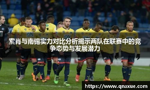 索肖与南锡实力对比分析揭示两队在联赛中的竞争态势与发展潜力